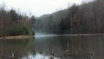 Edmiston Lake 4