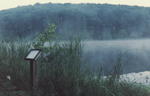 Edmiston Lake 5