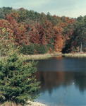 Edmiston Lake