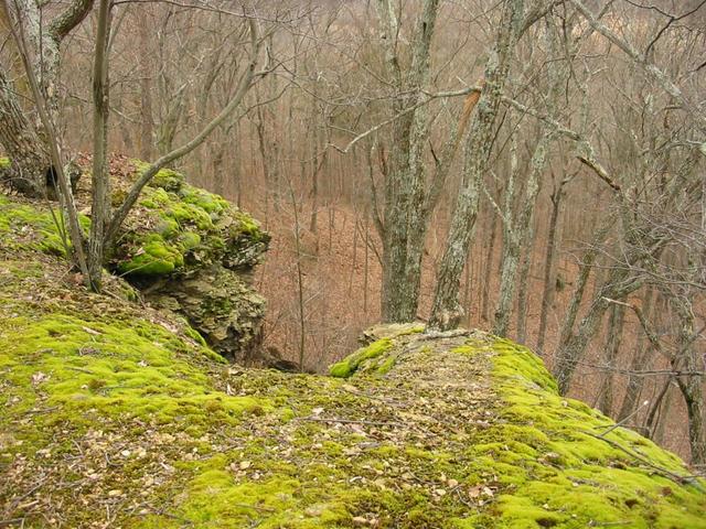 From the top of DaVinci Knob - March 2005