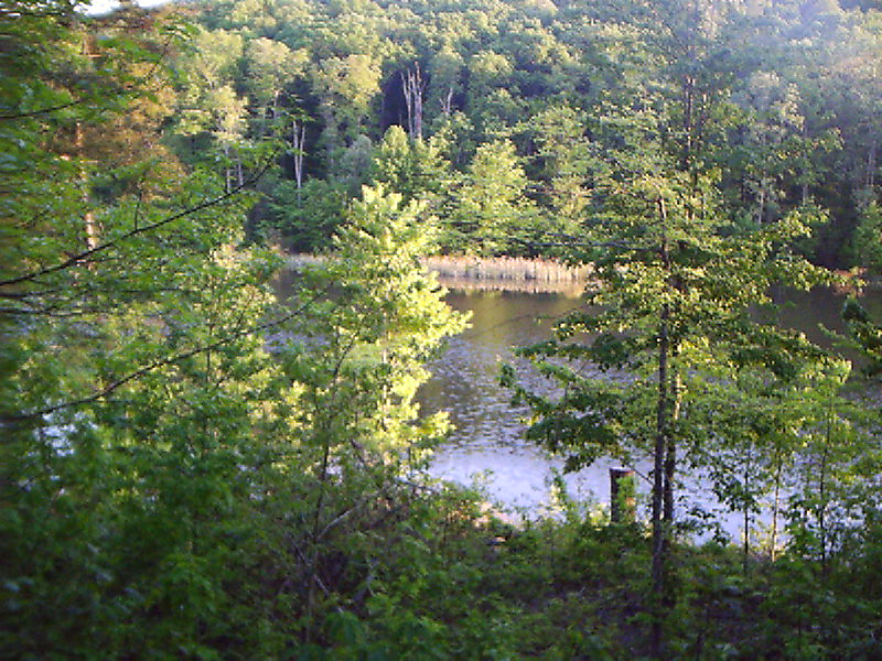 Another view of the lake from our lodge deck