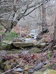 Creek meanders