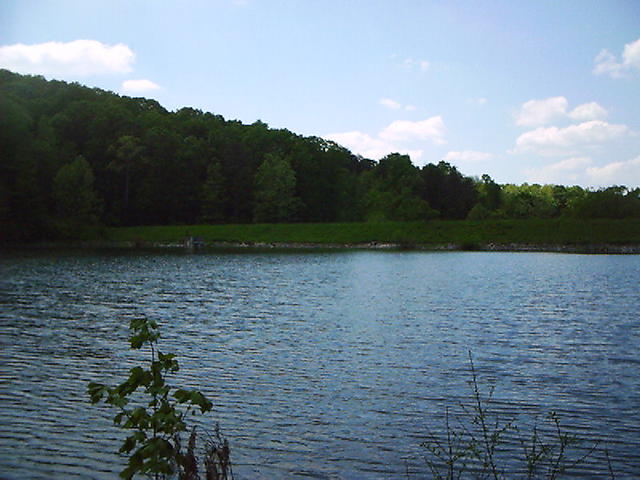 Lake Edmiston in the spring