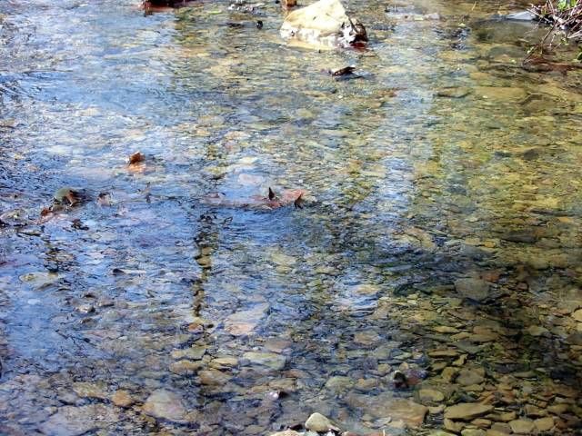 Creek water so clear and cold