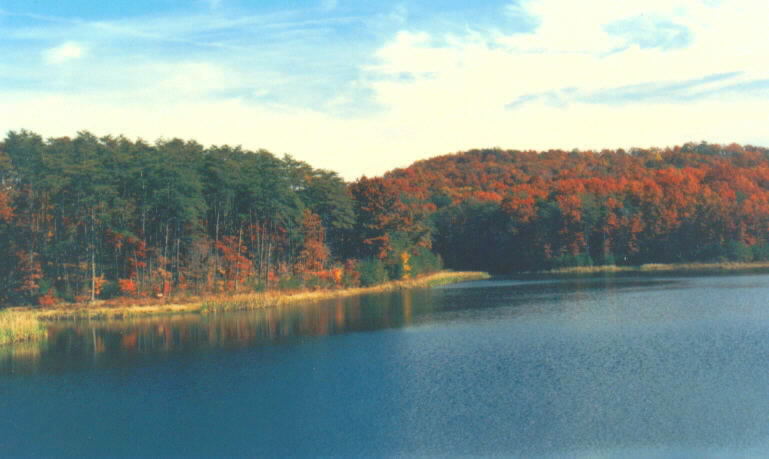 Edmiston Lake 2