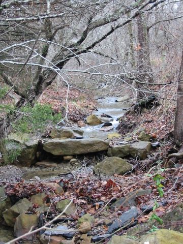 Creek meanders