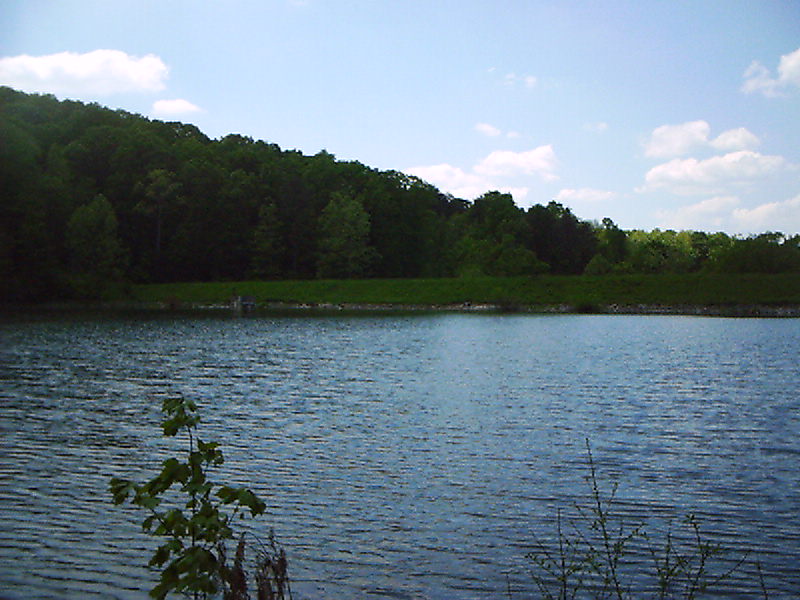 Lake Edmiston in the spring