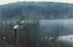 Edmiston Lake 5