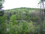 Maywoods - May 2009
