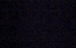 Can you see it? Can you see it? A Neat Comet