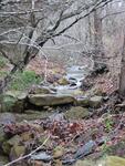 Creek meanders