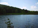 Lake Edmiston in the spring